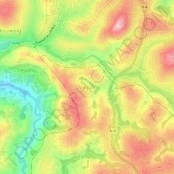 Carte topographique Megom, altitude, relief