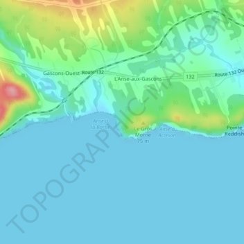 Carte topographique Le Gros Morne, altitude, relief