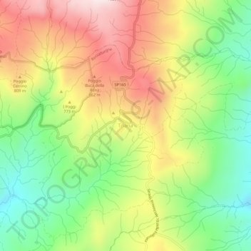 Carte topographique Triana, altitude, relief