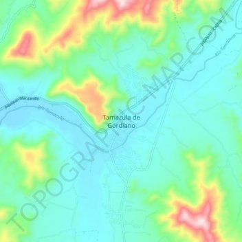 Carte topographique Tamazula de Gordiano, altitude, relief