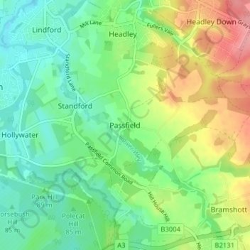 Carte topographique Passfield, altitude, relief