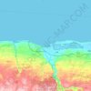 Carte topographique Arecibo, altitude, relief