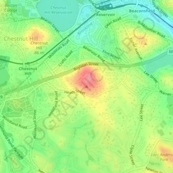 Carte topographique Single Tree Hill, altitude, relief