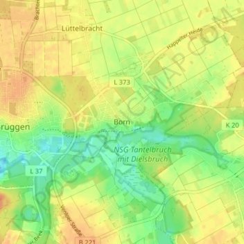 Carte topographique Born, altitude, relief