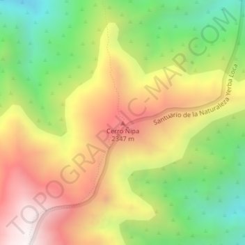 Carte topographique Cerro Ñipa, altitude, relief