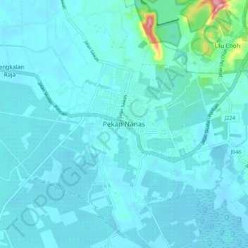 Carte topographique Pekan Nanas, altitude, relief