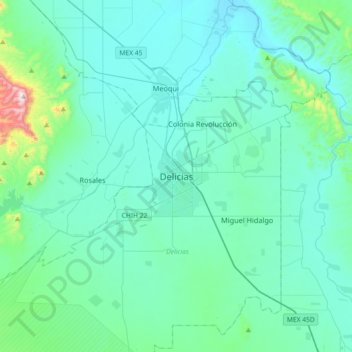 Carte topographique Delicias, altitude, relief