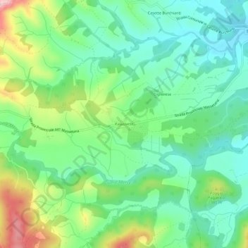 Carte topographique Palazzetto, altitude, relief