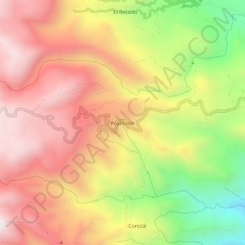 Carte topographique Pajonales, altitude, relief