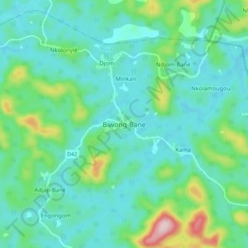 Carte topographique Biwong-Bane, altitude, relief