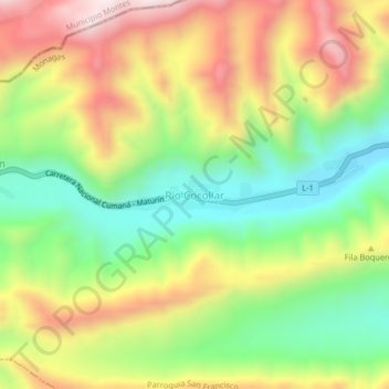 Carte topographique Río Cocollar, altitude, relief