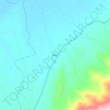 Carte topographique Pilon, altitude, relief