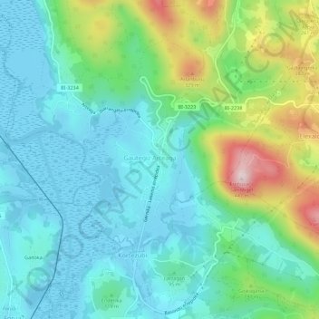 Carte topographique Gautegiz Arteaga, altitude, relief