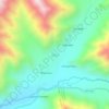 Carte topographique Palca, altitude, relief
