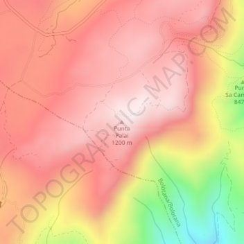 Carte topographique Punta Palai, altitude, relief