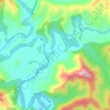 Carte topographique Mangamahu, altitude, relief