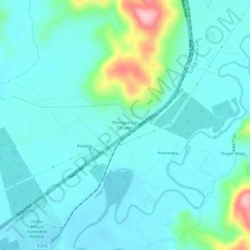 Carte topographique Puringue Los Ciruelos, altitude, relief