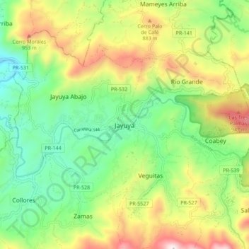 Carte topographique Jayuya, altitude, relief