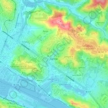 Carte topographique Lejona, altitude, relief