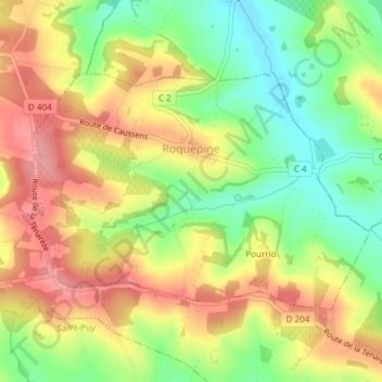 Carte topographique Roquepine, altitude, relief