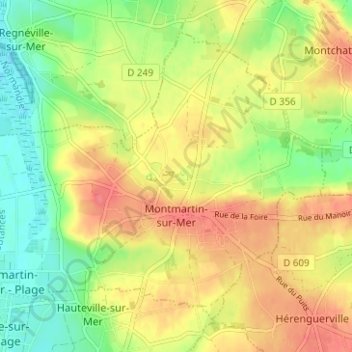 Carte topographique Montmartin-sur-Mer, altitude, relief